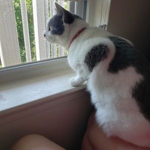 Meet your Posher, Amber